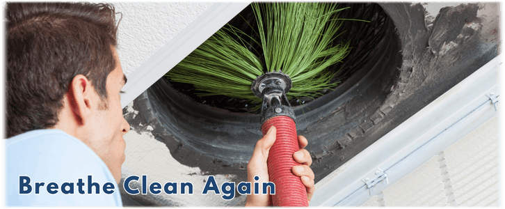 Air Duct Mold Removal in Terrell TX